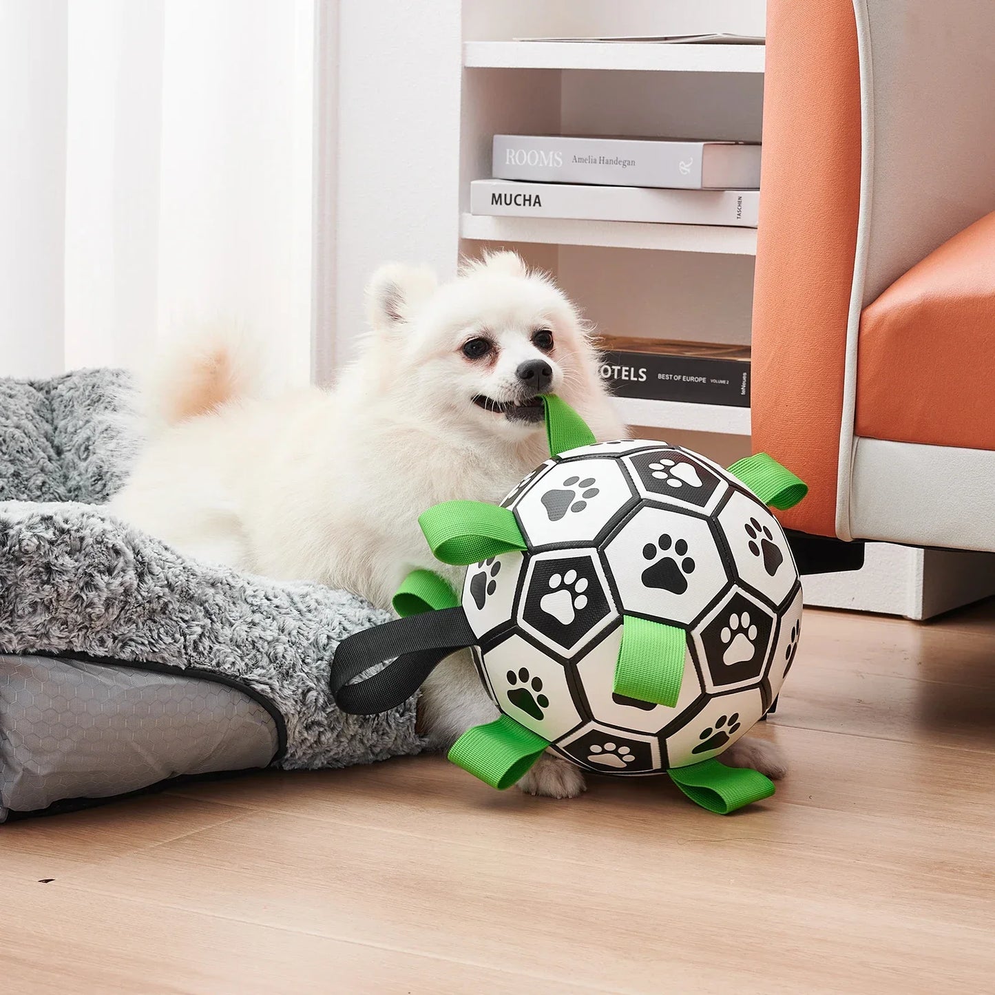 Dog Toys Soccer