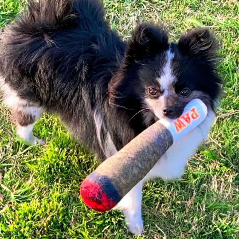 PAWREX™ Doggy Cigar